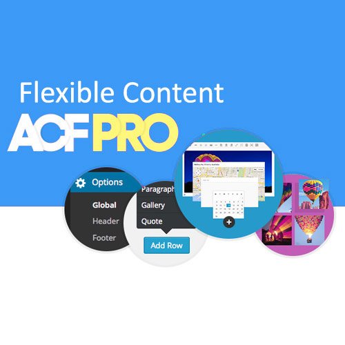 Advanced Custom Fields
