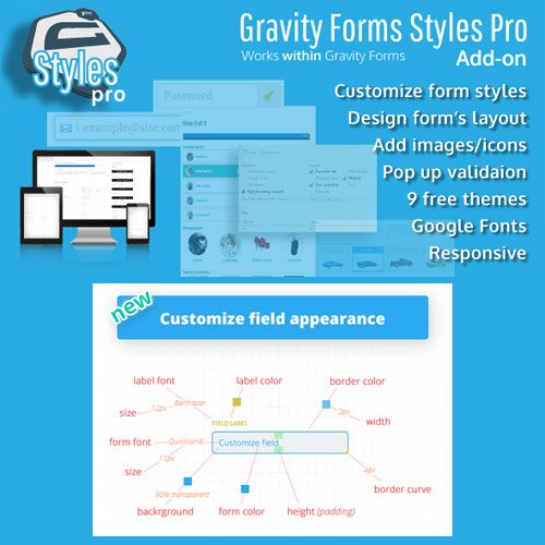 Gravity Forms Styles