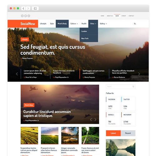 MyThemeShop SocialNow